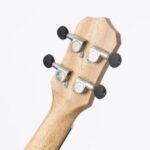 3058